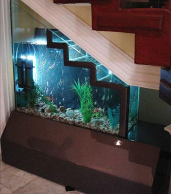aquarium design sous escalier